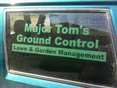 business name,david bowie,monday thru friday,Music,major tom