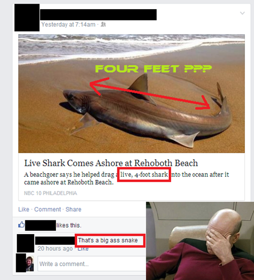 facepalm,shark,snake