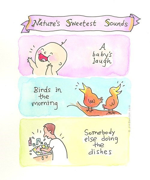 Babies birds dishes web comics the indifference of nature