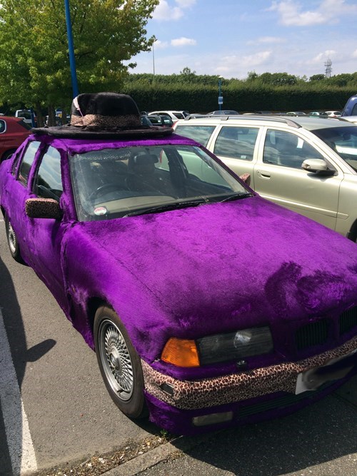 cars,hat,purple,poorly dressed,leopard print,g rated
