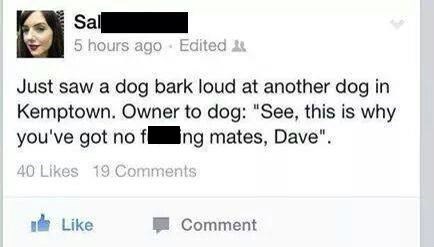 dogs,twitter,pets