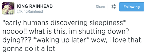 twitter,wisdom,sleeping,failbook,g rated