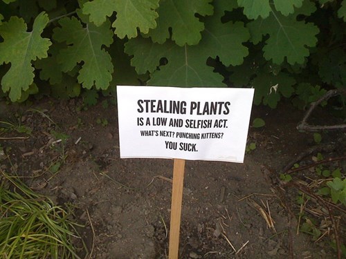 warning sign stealing - 8293107712