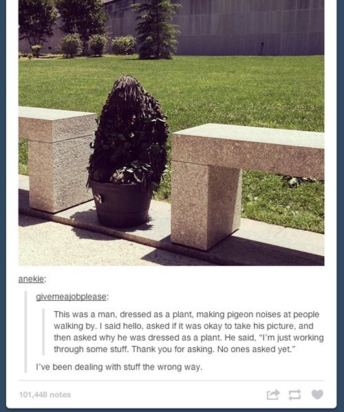tumblr,what,prank,weird,failbook,g rated