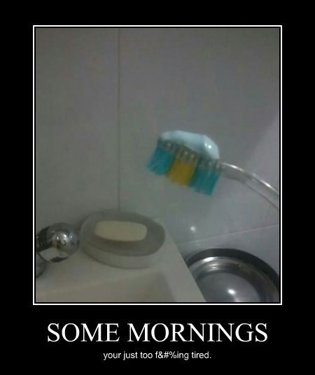 tired,morning,funny,toothbrush
