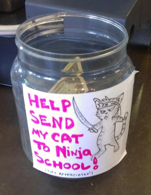 monday thru friday,ninja,tips,tipping,tip jar,Cats