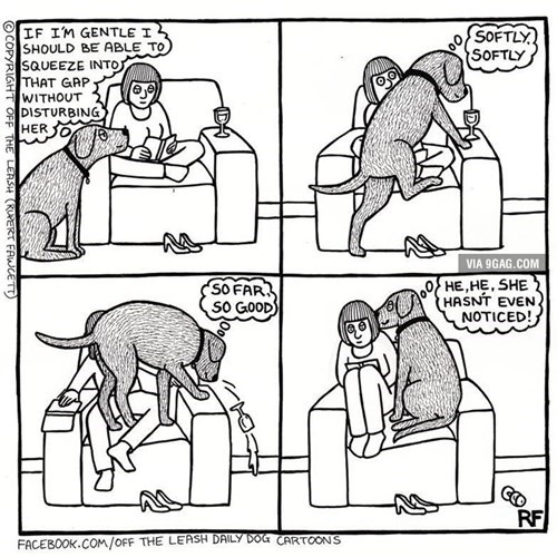 stealth dogs whoops couches web comics