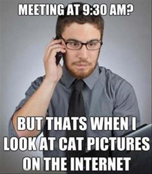 monday thru friday lolcats the internets meeting g rated
