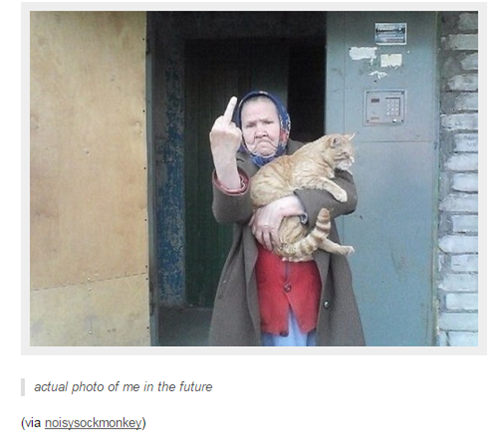 tumblr,Cats,true facts,failbook,g rated