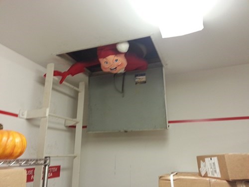 monday thru friday,elf,prank,watching