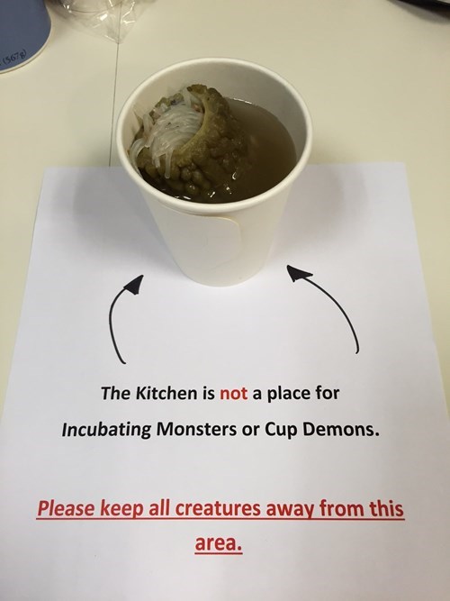 monday thru friday,sign,demon,kitchen,g rated