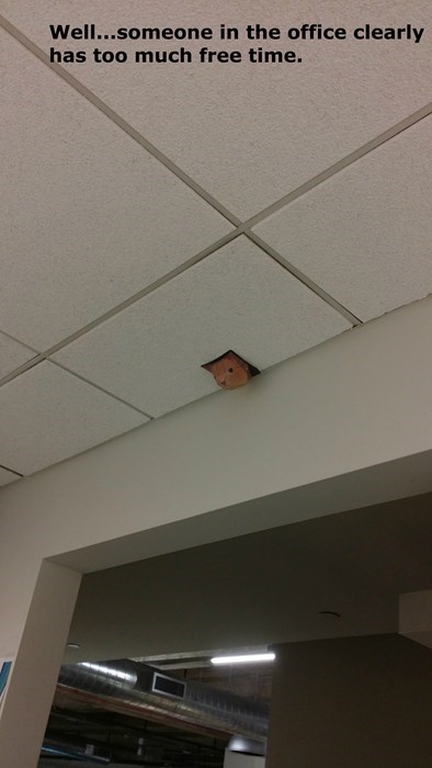 monday thru friday free time coworkers ceiling cat
