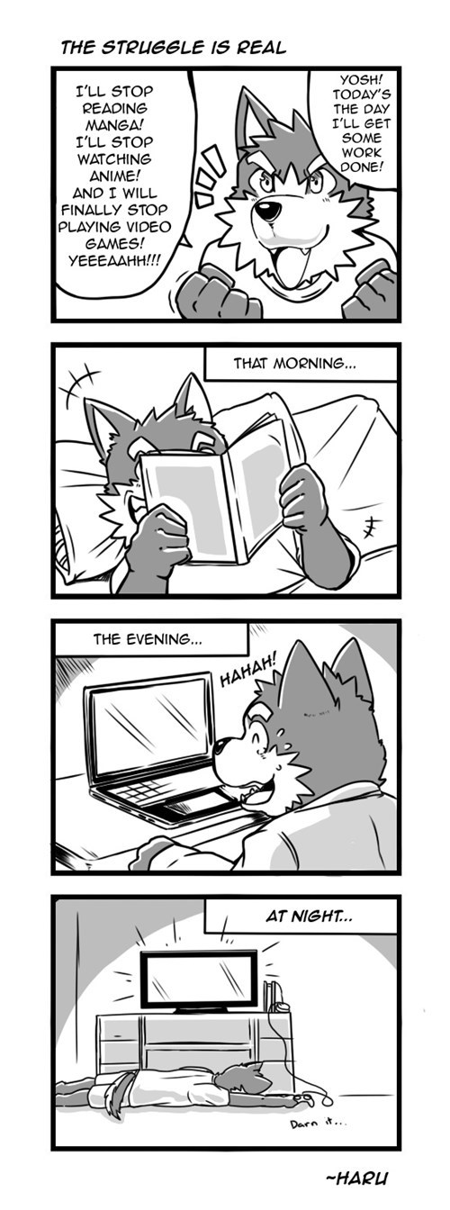 anime,furries,web comics
