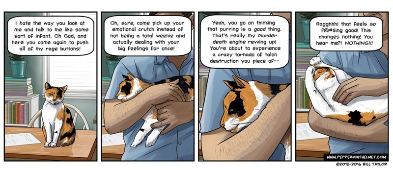 love,Cats,web comics