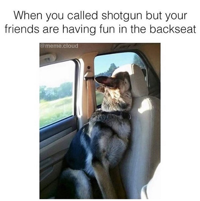 Image result for road trip meme