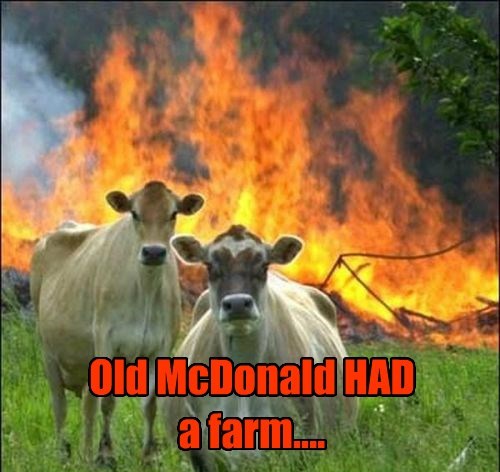 Cheezburger Image 8822211584