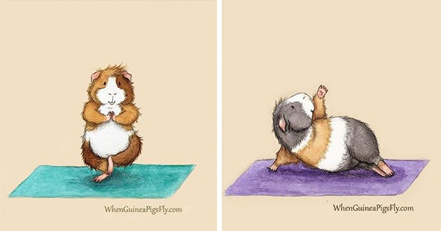 guinea pigs yoga art