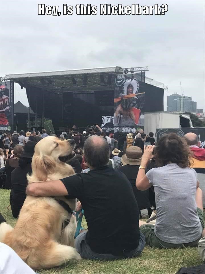 Cheezburger Image 9006070272