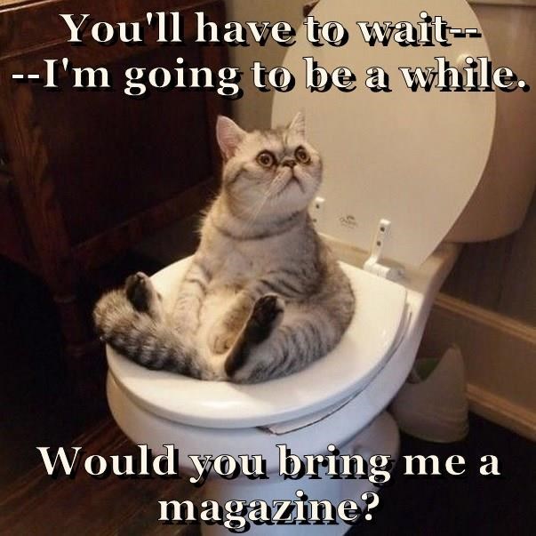 You'll have to wait-- --I'm going to be a while. Would you bring me a magazine?
