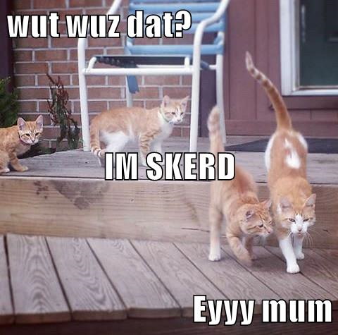 wut wuz dat? IM SKERD Eyyy mum