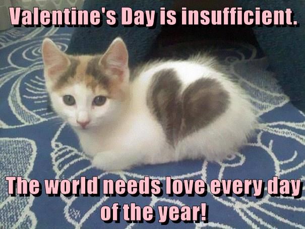 Valentine's Day is insufficient. The world needs love every day of the year!
