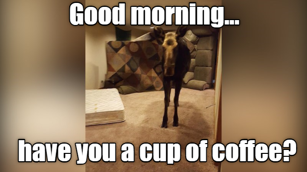 Good morning... have you a cup of coffee?