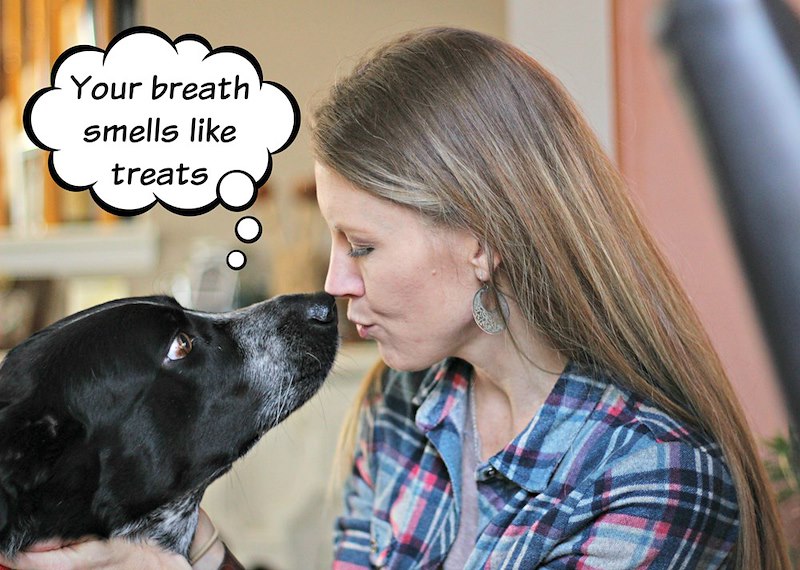Your breath smells like treats