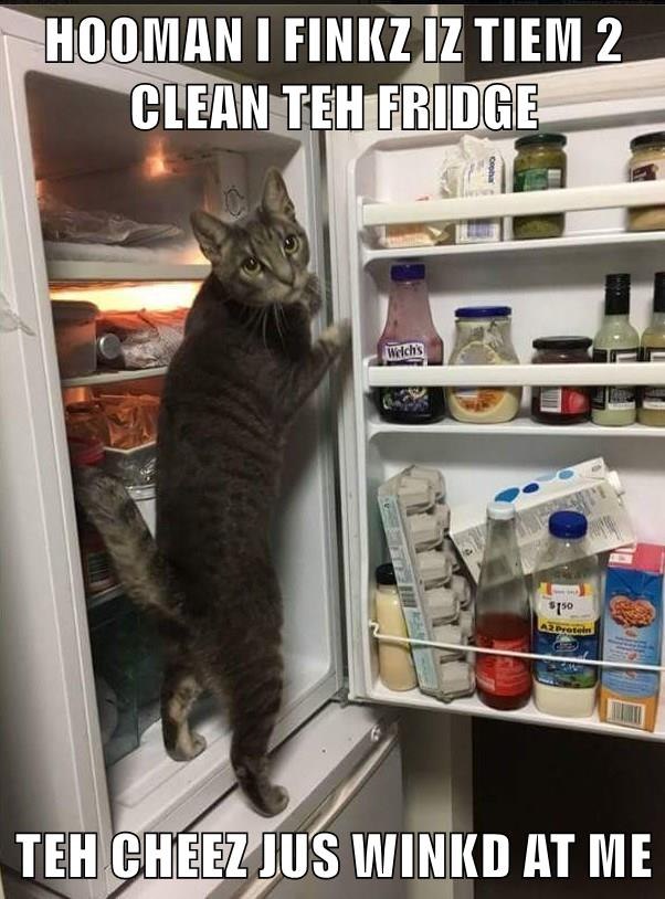 HOOMANI FINKZ IZ TIEM 2 CLEAN TEH FRIDGE Welch's Coohal $150 A2 Protein TEH CHEEZ JUS WINKD AT ME