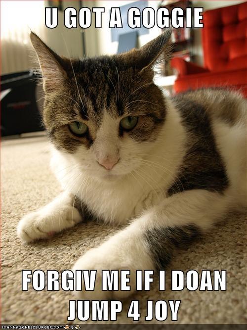 U GOT A GOGGIE FORGIV ME IF I DOAN JUMP 4 JOY ICANHASCHEEZBURGER.COM