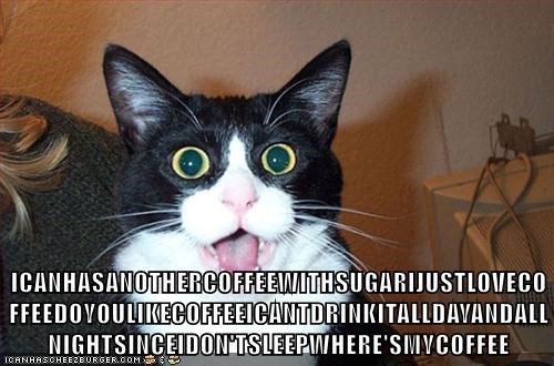 ICANHASANOTHERCOFFEEWITHSUGARIJUSTLOVECO FFEEDOYOULIKECOFFEEICANTDRINKITALLDAYANDALL NIGHTSINCEIDON'TSLEEPWHERE'SMYCOFFEE ICANHASCHEEZBURGER.COM.c