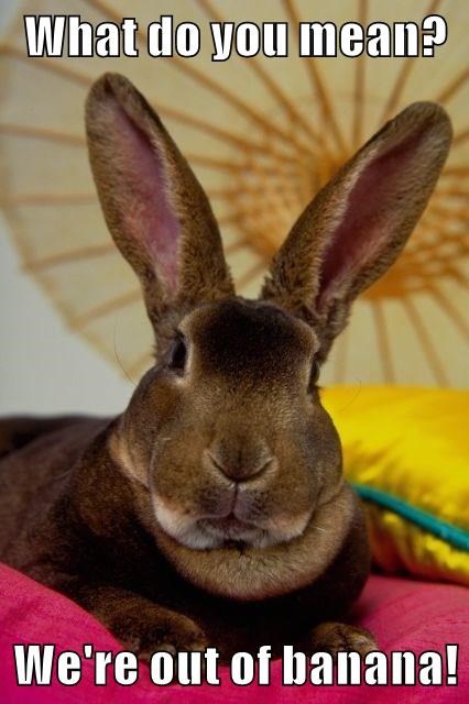 What do you mean? We're out of banana!