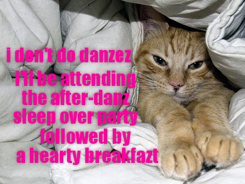 i don't do danzez He attending the after-dan sleep over party followed by a hearty breakfazt