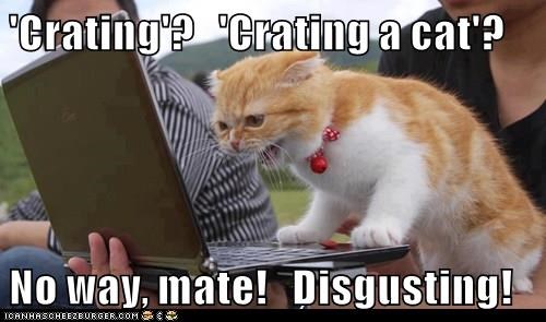 "Crating'? 'Crating a cat'? No way, mate! Disgusting! ICANHASCHEEZBURGER.COM