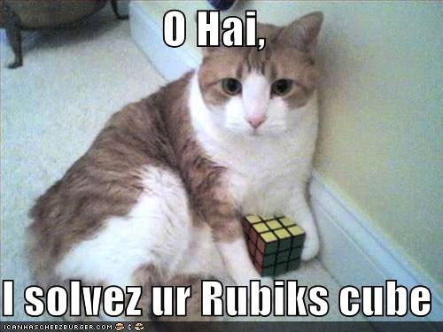 O Hai, I solvez ur Rubiks cube ICANHASCHEEZBURGER.COM