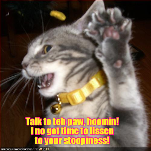 ICANHASCHEEZEUR Talk to teh paw, hoomin! I no got time to lissen to your stoopiness! SURGER.CO R.COM :