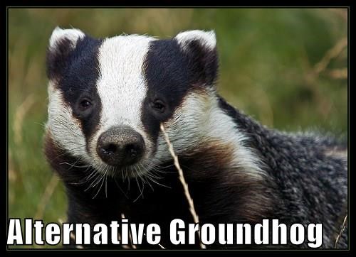 Alternative Groundhog