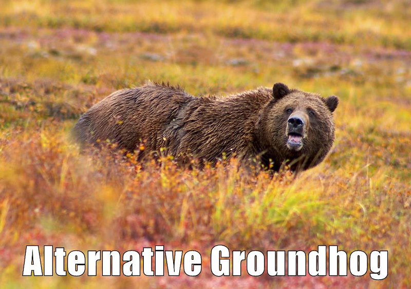 Alternative Groundhog