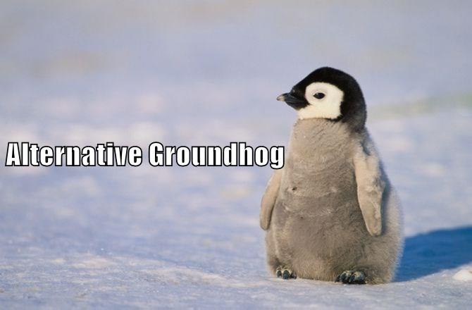 Alternative Groundhog