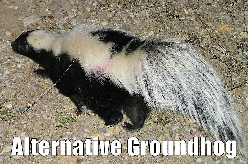 Alternative Groundhog