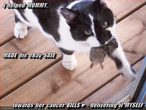 I helped MOMMY.. MADE dis eBay SALE towards her cancer BILLS delivering it MYSELF ICANHASC-201