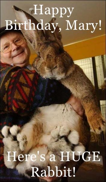 Happy Birthday, Mary! Here's a HUGE Rabbit!