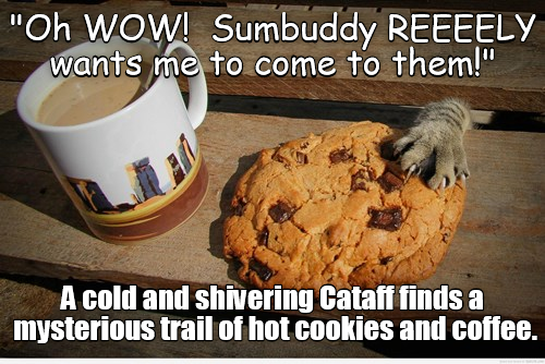 "Oh WOW! Sumbuddy REEEELY wants me to come to them!" A cold and shivering Cataff finds a mysterious trail of hot cookies and coffee.