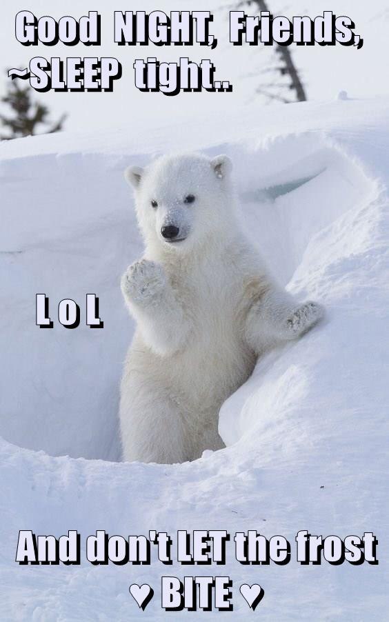 Good NIGHT, Friends, ~SLEEP tight.. LOL And don't LET the frost ♥BITE♥