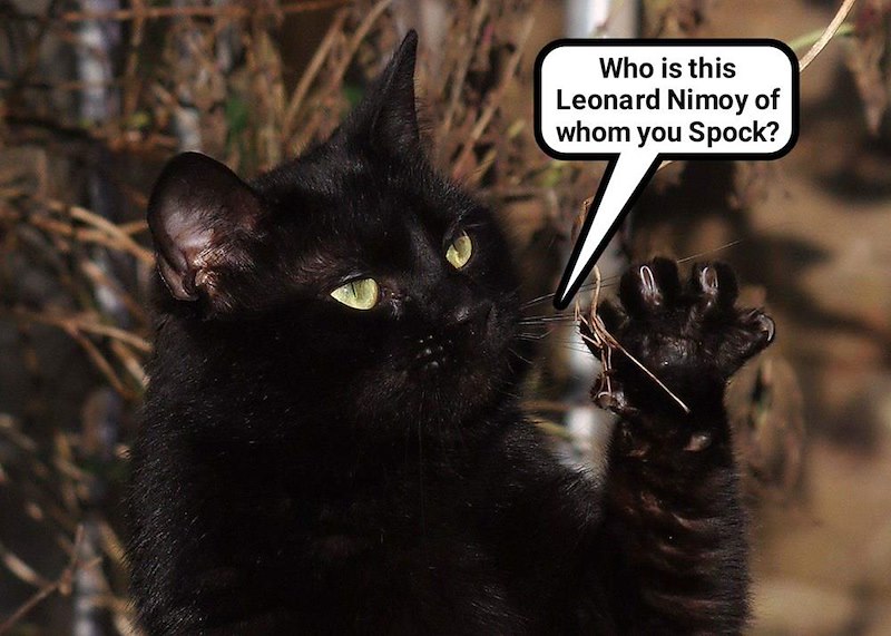 Who is this Leonard Nimoy of whom you Spock?
