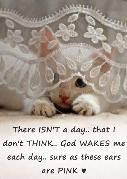 There ISN'T a day.. that I don't THINK.. God WAKES me each day.. sure as these ears are PINK ♥