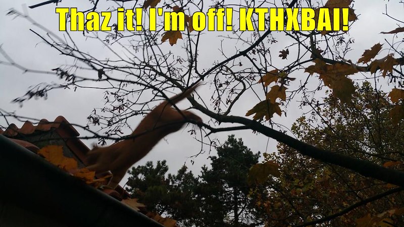 Thazit! L'in off! KTHXBAI!