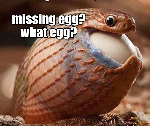 missing egg? what egg?