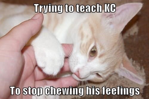 Trying to teach KC To stop chewing his feelings