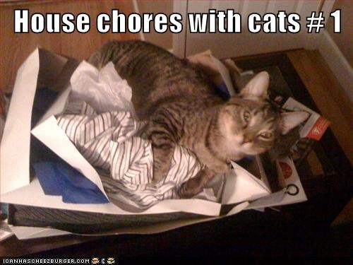 House chores with cats # 1 ICANHASCHEEZBURGER.COM