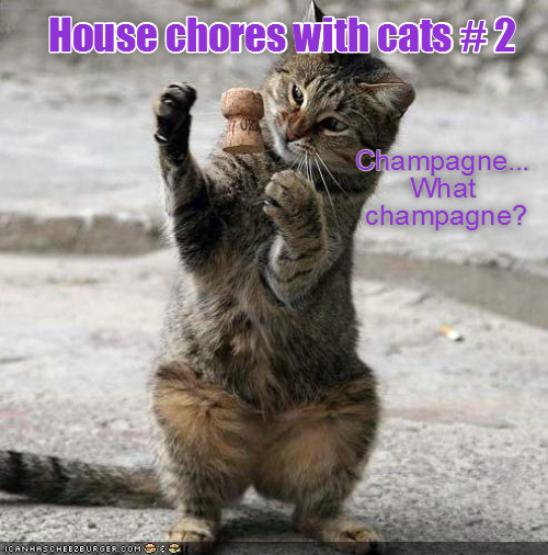 House chores with cats #2 ICANHASCHEEZBURGER.COM Champagne... What champagne?